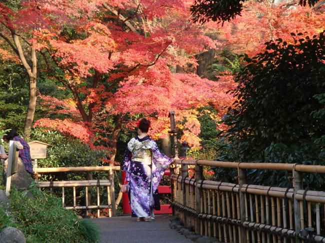 Vé máy bay từ Hải Phòng đi Tokyo