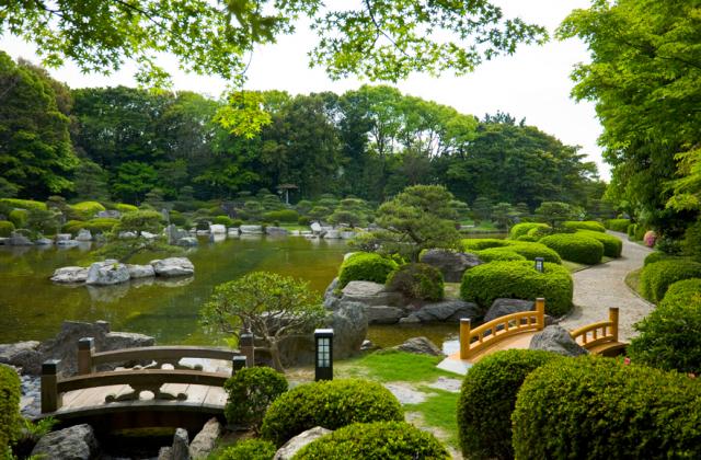 Vé máy bay Asiana Airlines Hồ Chí Minh đi Fukuoka giá rẻ