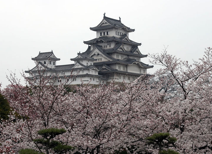 Vé máy bay đi Fukuoka giá rẻ