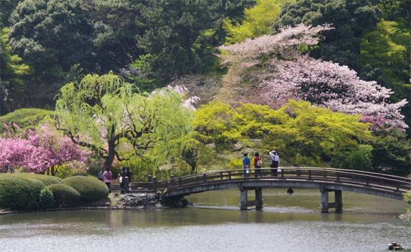 Ve máy bay Japan Airlines đi Tokyo 2